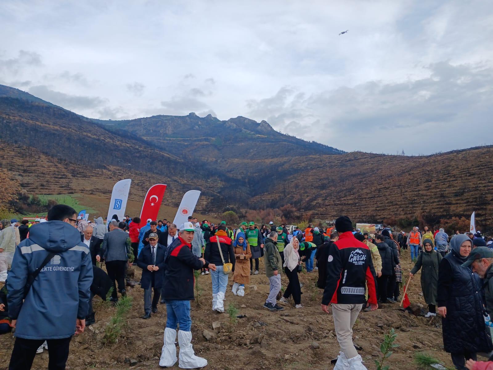 Ağaçlandırma Sonrası - 1